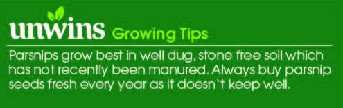 Parsnip Improved Hollow Crowned Seeds Unwins Growing Tips